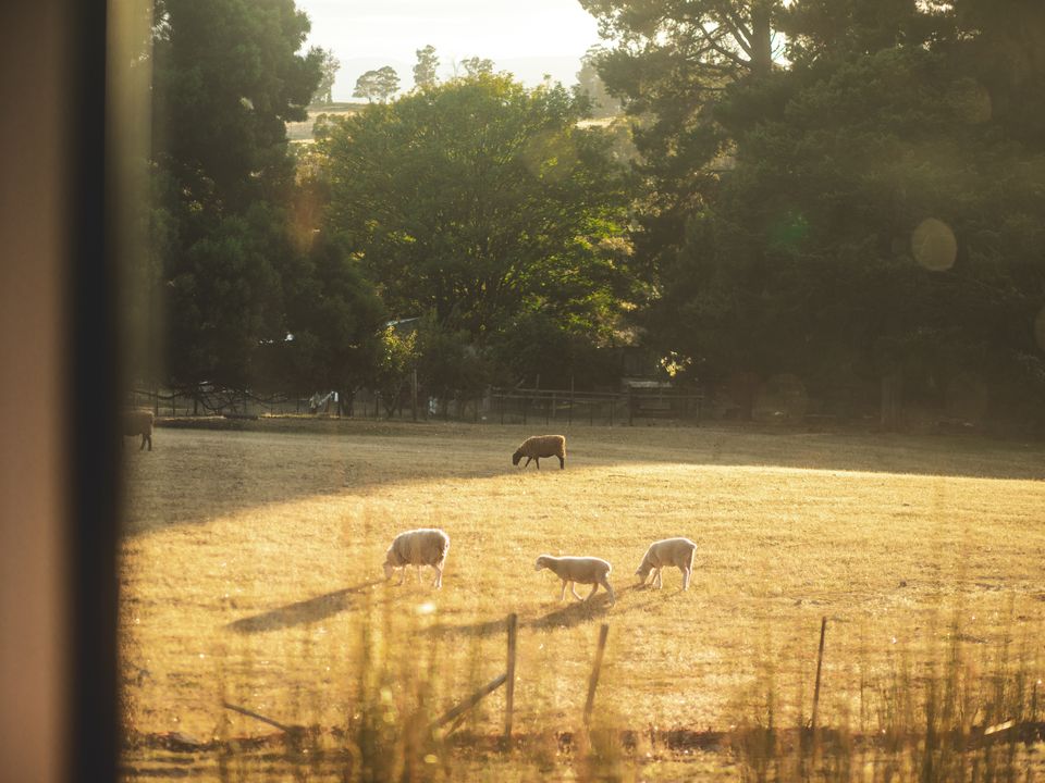 Story image 5